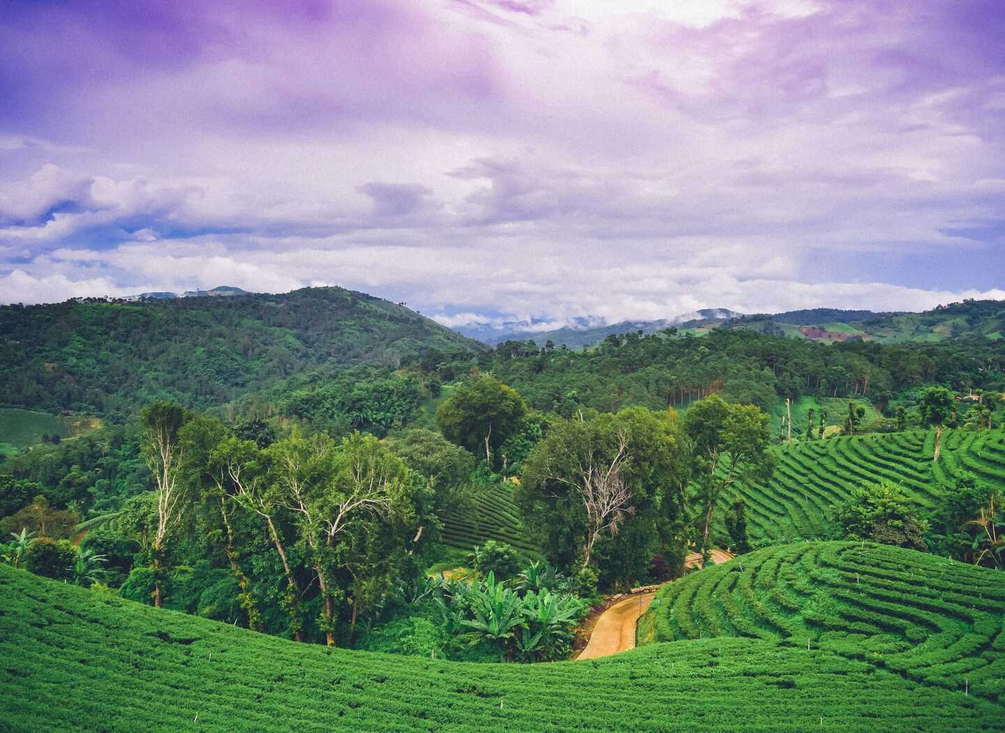 Chiang Rai, Thailand