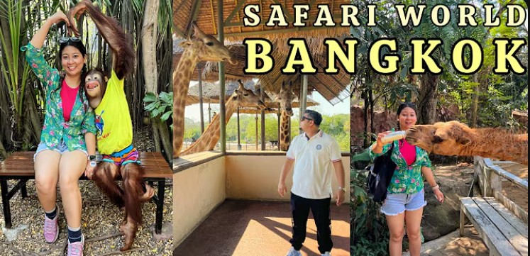 Safari-1776170340.jpg